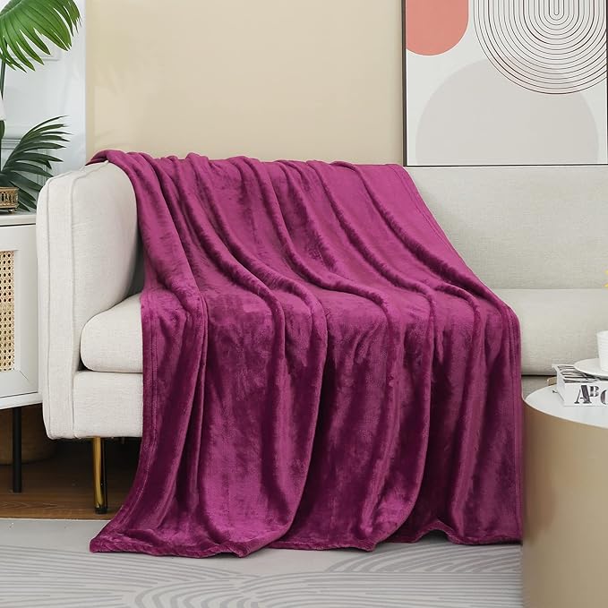 JIAHANNHA Purple Throw Blanket Fleece Blanket 60"x80",Super Soft Cozy Plush Throw Blanket for Couch Sofa Bed,Warm and Lightweight Bed Blankets for Adults