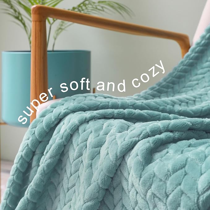Exclusivo Mezcla Fleece Queen Size Blanket for Bed, 90x90 Inches Soft Cozy Jacquard Flannel Blankets, Lightweight Fuzzy Plush Warm for Women, Celadon