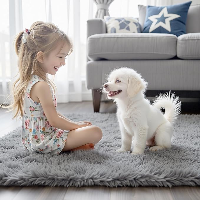 8x10 Area Rugs for Living Room Bedroom Rug, Large Shaggy Soft Plush Furry Bedside Rug, Area Rugs for Home Decor (Light Grey, 8x10 Feet)