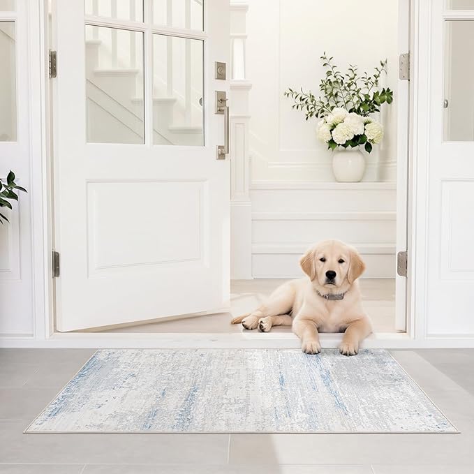 Washable Rugs 2x3 Area Rugs for Living Room- Modern Abstract Entryway Rugs for Bedroom,Dining Room,Kids Room,Soft Low Pile Small Carpet with Non Slip Rubber Backing for Home Office Front Door
