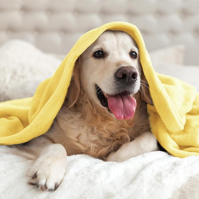 BEDELITE Fleece Blanket Light Yellow Throw Blankets for Couch & Bed, Luxury Plush Cozy Fuzzy Blanket 50x60 inches, Super Soft Warm Lightweight Throw Blanket for Travel Camping