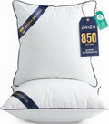 Utopia Bedding Throw Pillow Inserts (Pack of 2, White), 24 x 24 Inches Decorative Indoor Pillows for Sofa, Bed, Couch, Cushion Sham Stuffer