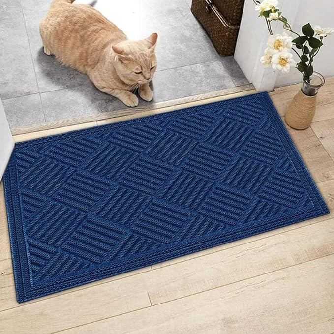 Mibao Front Door Mat, Dirt Trapper Welcome Mat for Outdoor Indoor, Non-Slip Waterproof Doormat, Durable Low Profile Entry Rug for Back Door Outside Patio Porch, 5'2" x 3' (Rectangular), Blue