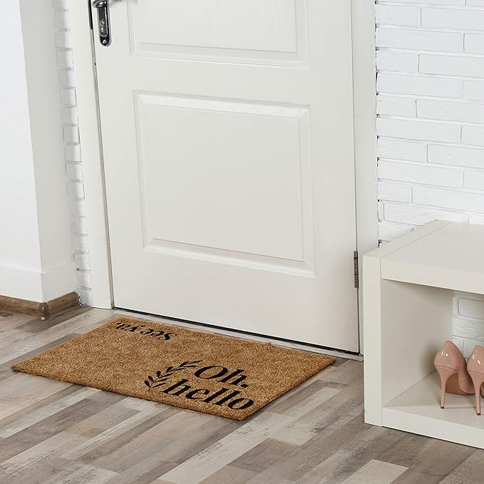 Barnyard Designs Doormat Welcome Mat for Outdoors, Large Front Door Entrance Mat, 30x17, Brown (Oh Hello)