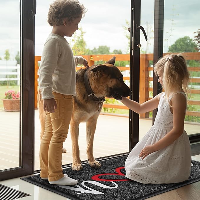 BeneathYourFeet Door Mat, Welcome Mat Low Profile Floor Mat Front Doormat Indoor and Outdoor Doormat Non Slip Rugs for Entryway, Patio, High Traffic Areas (30"x17.5", Black-Home)