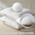 12x24 Inches Set of 2 Throw Pillow Inserts – 12x24in