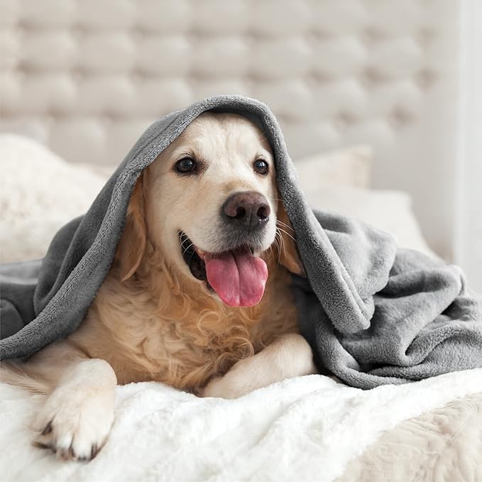 BEDELITE Fleece Blankets King Size for Bed, Luxury Plush Cozy Fuzzy Blanket 108x90 inches, Super Soft Warm Lightweight Throw Blanket All Seasons Suitable, Grey