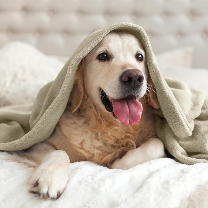 BEDELITE Fleece Blanket Oat Linen Throw Blankets for Couch & Bed, Luxury Plush Cozy Fuzzy Blanket 50x60 inches, Super Soft Warm Lightweight Throw Blanket for Travel Camping