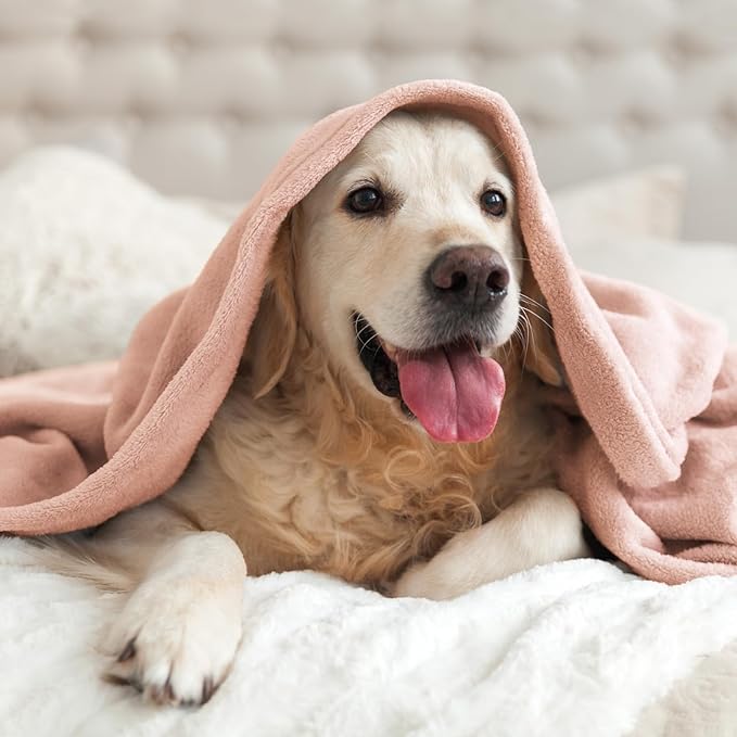 BEDELITE Fleece Blanket Pink Morn Throw Blankets for Couch & Bed, Luxury Plush Cozy Fuzzy Blanket 50" x 60", Super Soft Warm Lightweight Throw Blanket for Travel Camping