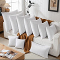 Pillow Inserts - 22x22 White Feather Throw Pillow Inserts, Set of 2