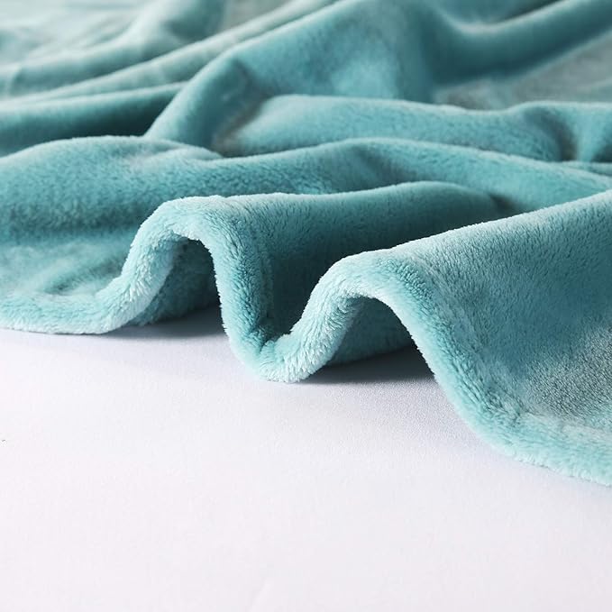 TASTHROW Large Flannel Fleece Throw Blanket, 60×80 Inch - Cozy Lightweight Thick Blanket - All Seasons Suitable for Women, Men and Kids (Bluishgreen)