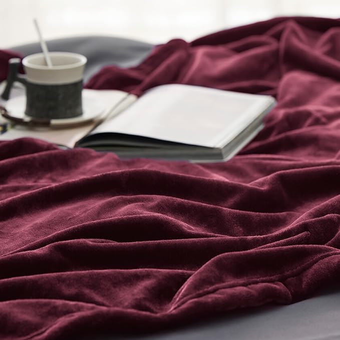 Bedsure GentleSoft Fleece Blanket Twin Size Burgundy - 300GSM Lightweight Plush Fuzzy Cozy Soft Warm Blanket for Bed, Sofa, Couch, Travel, Camping, 60x80 inches