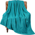 BEDELITE Fleece Blanket Twin Size Bluebird Throw Blankets for Couch & Bed, 300GSM Luxury Plush Cozy Fuzzy Blanket 60x80 inches, Super Soft Warm Lightweight Throw Blanket for Travel Camping