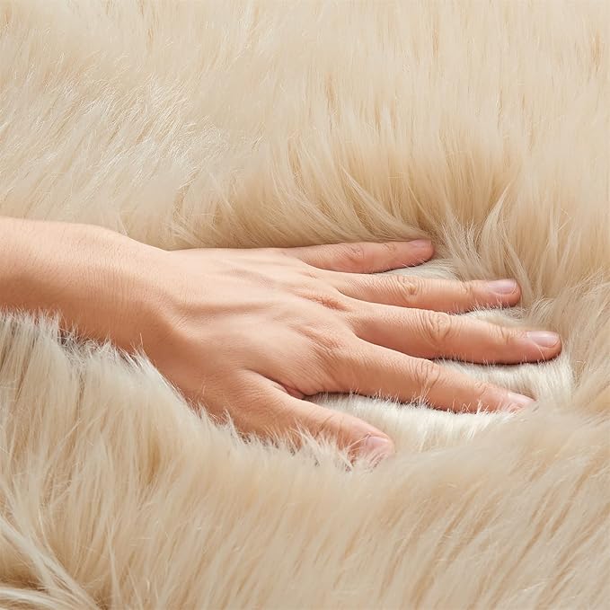 EasyJoy Ultra Soft Fluffy Shaggy Area Rug Faux Fur Rug Chair Cover Seat Pad Fuzzy Area Rug for Bedroom Floor Sofa Living Room (4 x 6 ft Rectangle, Beige)
