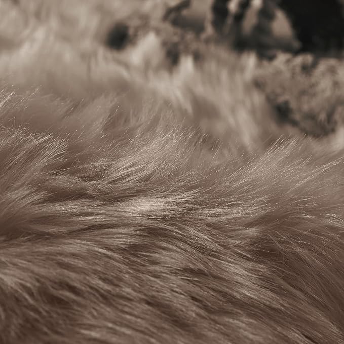 Goolela Faux Sheepskin Fur Rug Light Brown Beige Fluffy Rug 4x6 Carpet for Bedroom Fuzzy Furry Soft Rugs PlayRoom Shaggy Plush Washable Sheepskin