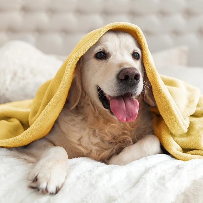 BEDELITE Fleece Blanket Twin Size Cream Yellow Throw Blankets for Couch & Bed, Luxury Plush Cozy Fuzzy Blanket 60x80 inches, Super Soft Warm Lightweight Throw Blanket for Travel Camping