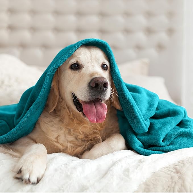 BEDELITE Fleece Blanket Twin Size Bluebird Throw Blankets for Couch & Bed, 300GSM Luxury Plush Cozy Fuzzy Blanket 60x80 inches, Super Soft Warm Lightweight Throw Blanket for Travel Camping