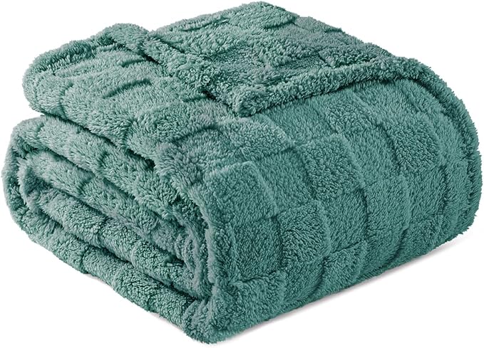 Exclusivo Mezcla Twin Size Flannel Fleece Blanket, Super Soft and Warm Lightweight Checkered Pattern Blankets for All Seasons, 60x80 Inches, Celadon