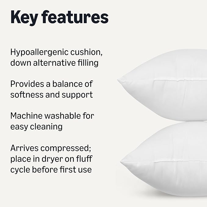 Amazon Basics Square Hypoallergenic Pillow Insert, Down Alternative Fiberfill, Sofa Bed Couch Decorative Stuffer, 20", 4-Pack