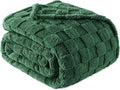 Exclusivo Mezcla Twin Size Flannel Fleece Blanket, Super Soft and Warm Lightweight Checkered Pattern Blankets for All Seasons, 60x80 Inches, Forest Green