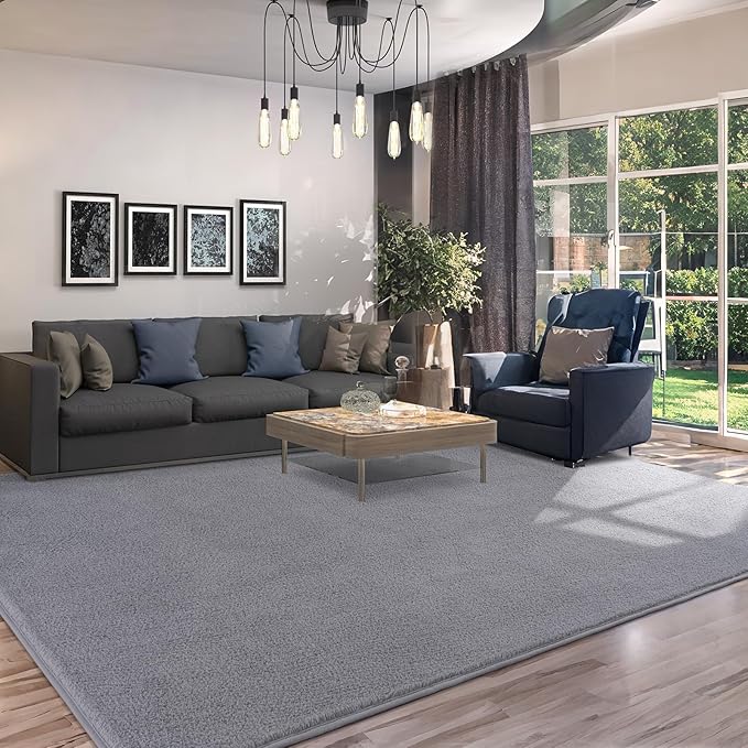 AROGAN 4x6 Feet Shag Area Rugs for Bedroom, Modern Washable Rugs for Living Room, Indoor Floor Carpet, Plush Memory Foam Bedside Rugs for Kids Girls Teens Room Low Pile Rug Decor, Grey