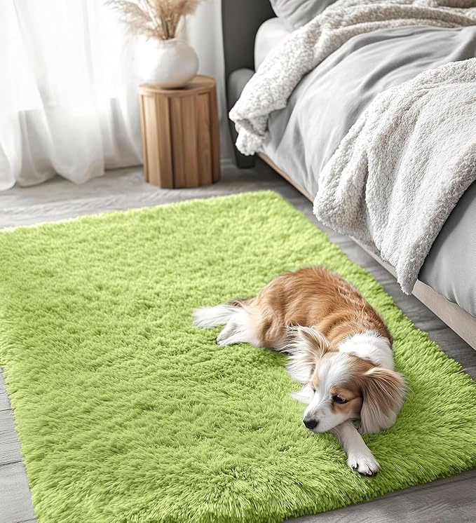 OLANLY 2x3 Machine Washable Small Bedside Rug, Soft Fluffy Shaggy Entryway Throw Rugs for Bedroom, Living Room, Indoor Floor Carpet for Kids Girl Boy, Nursery Rooms, Home Decor Aesthetic, Grass Green