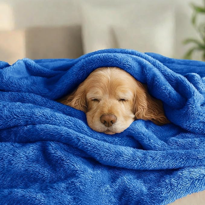 Exclusivo Mezcla Plush Fuzzy Fleece Bed Blanket Queen Size, Super Soft, Fluffy and Warm Blankets for Couch, Bed, All Season (Cobalt Blue, 90x90 inches)