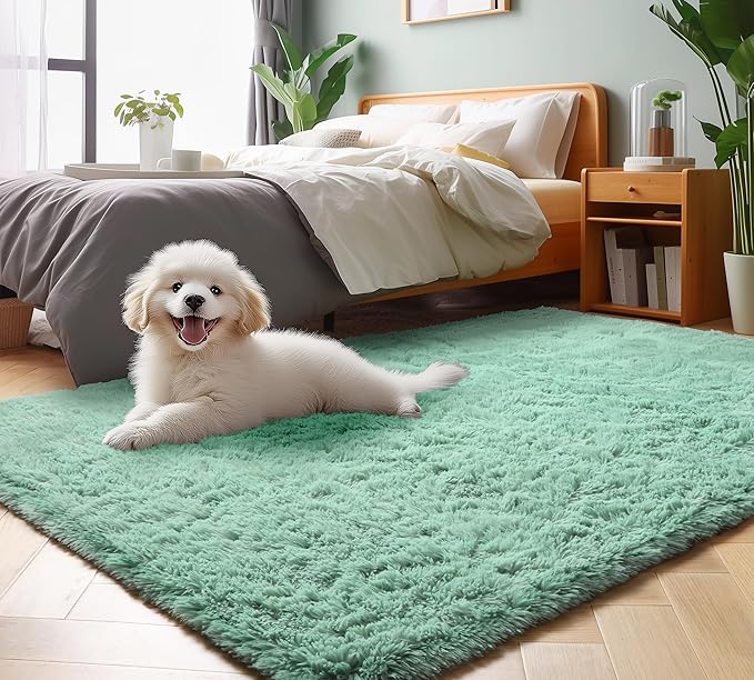ONASAR Sage Green 3x5 Rugs for Bedroom, Fluffy Bedside Area Rug, Soft Plush Shaggy Small Floor Throw Carpets for Living Room Preppy Dorm Teen Kids Girls Boy Baby Nursery Home Decor Aesthetic