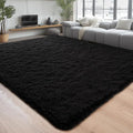 Chicrug Soft Area Rugs for Bedroom Living Room Plush Fluffy Rug 3x5 Feet, Shag Furry Area Rug Carpet Non Shedding for Nursery Children Kids Girls Room Home Decorative, Black