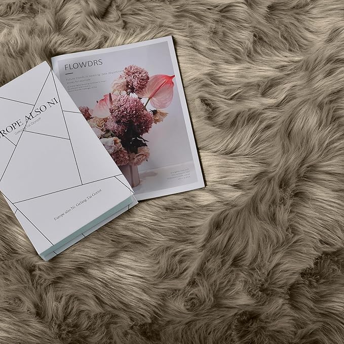 Goolela Area Rug 5x7 - Light Brown Beige - Fluffy Fuzzy Furry Carpet for Bedroom Living Room Faux Sheepskin Fur Shaggy Plush Washable Rectangle
