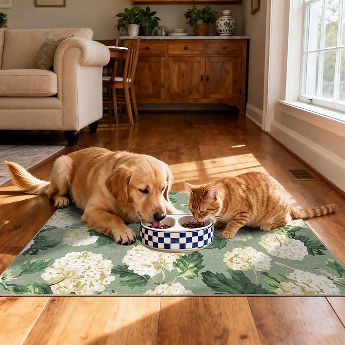 Spring Outdoor Rug - 28" x 43" Front Door Mat Indoor Outside Entrance Non-Slip Washable Outdoor Mat Sage Green Beige Flower Rug for Entryway Kitchen Bedroom Layered Doormat for Front Porch