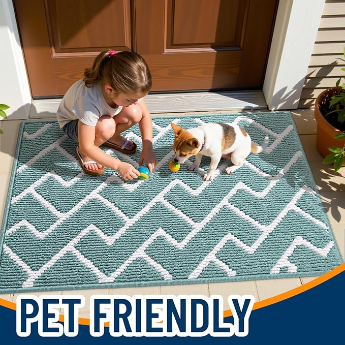 OLANLY Front Door Mat, Non-Slip Rubber Backing, Dirt Resistant and Absorbent, Washable, Easy to Clean Low-Profile Indoor Doormat for Back Door, Entryway, Inside Entrance, 48x32, Sage Green