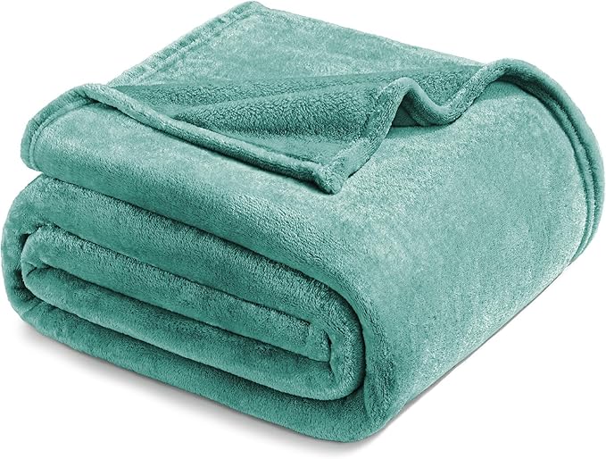 Exclusivo Mezcla Fleece Blanket Twin Size for Bed, Super Soft and Warm, All Season, Cozy, Plush, Lightweight, 60x80 Inches Celadon