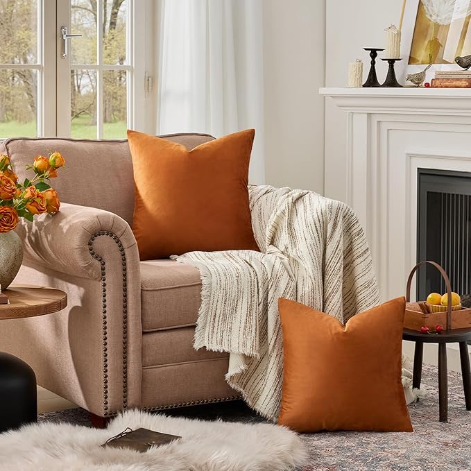 GIGIZAZA Velvet Throw Pillow Covers 24x24 Dark Burnt Orange Pillows Couch Cushion Decorative Covers Set of 2 Pillow Covers for Bedroom Living Room