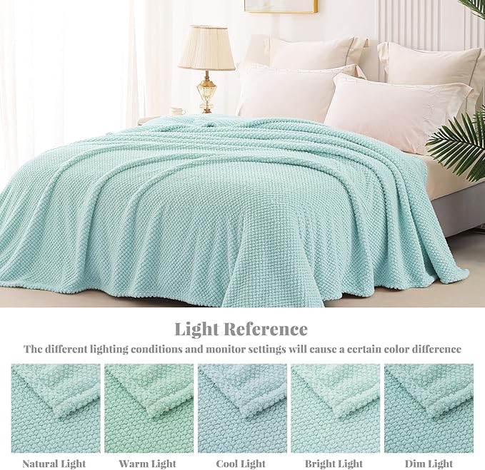 Whale Flotilla Extra Large Fuzzy Fleece Throw Blanket for Couch, 50x70 Inch Fluffy Warm Soft Jacquard Blankets for All Season, Lightweight and Cozy, Light Blue