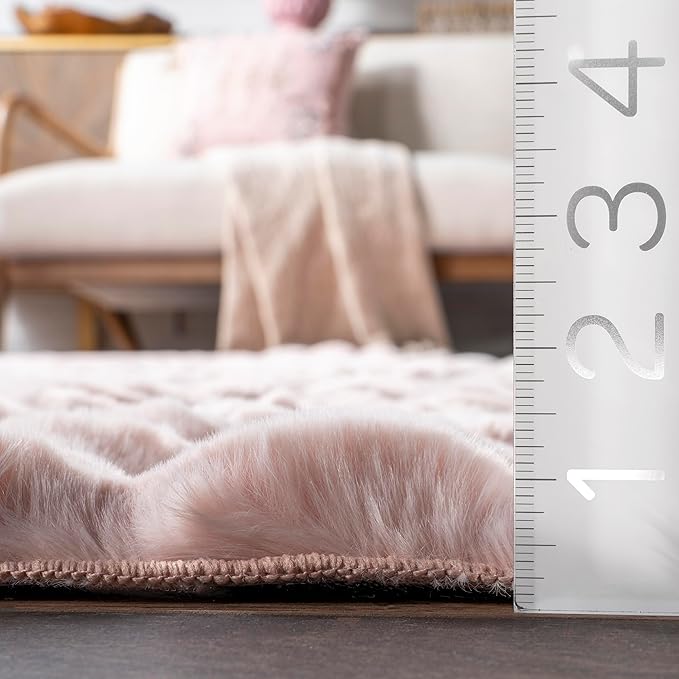 nuLOOM 5' x 8' Cozy Plush Area Rug, Machine Washable, Non-Slip, Soft Fluffy Shag Carpet for Living Room Bedroom Kids Room Nursery Home Decor, Jeni Blush