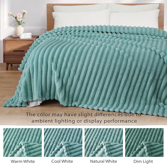 Exclusivo Mezcla Twin Size Flannel Fleece Blanket, Super Soft Striped Jacquard Bed Blanket, Lightweight Fuzzy Cozy for All Seasons, 60x80 Inches, Celadon