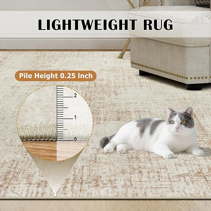 5x7 Area Rugs for Living Room Washable Rug: Anti-Skid Abstract Modern Living Room Rug Soft Thin Carpets Indoor Floor Non-Shedding Carpet for Bedroom Dining Farmhouse Nursery Beige White