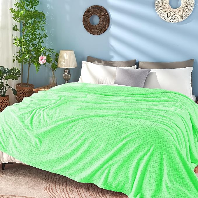 inhand Mint Green Fleece Throw Blanket for Couch, Super Soft Flannel Blanket, Lightweight Fuzzy Blankets Sofa Bed Office, Washable Cozy Plush Fleece Blankets&Throw for All Season(50x60 Inches)