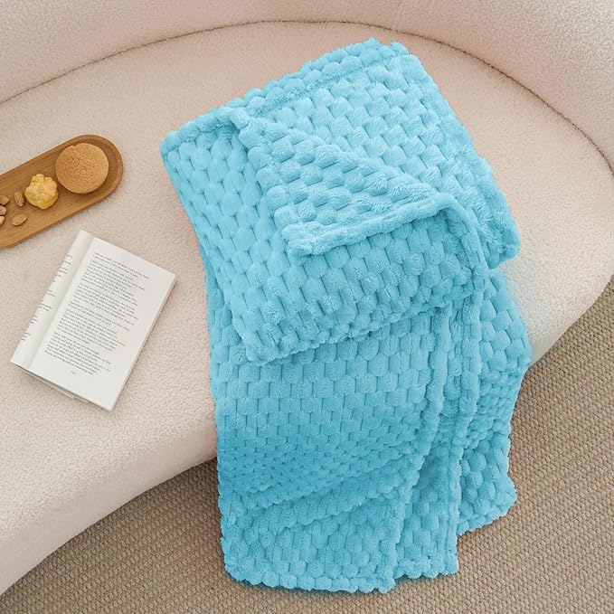 BEDELITE Fleece Blanket Twin Size for Bed Couch, 3D Jacquard Decorative Light Blue Throw Blanket, Soft and Cozy Warm Plush Fuzzy Blanket All Seasons Suitable, 60x80Inches
