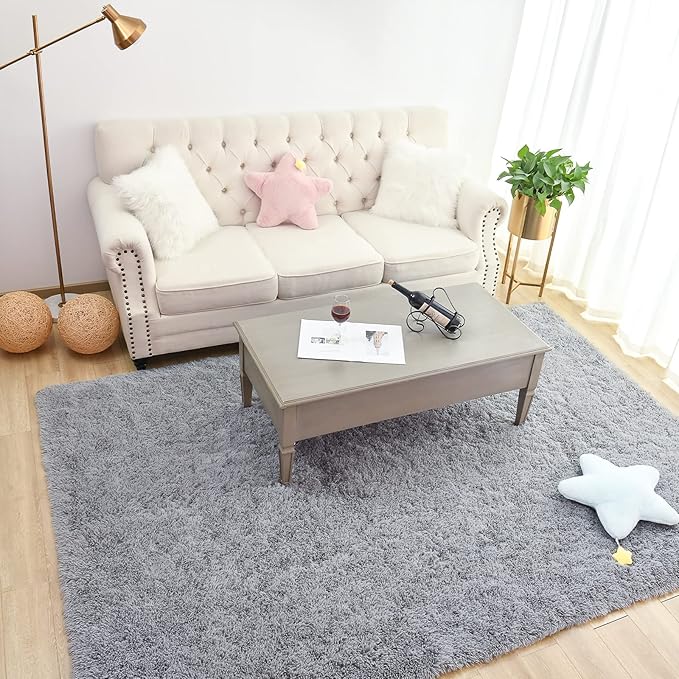 Chicrug Soft Area Rugs for Bedroom Living Room Plush Fluffy Rug 6x9 Feet, Shag Furry Area Rug Carpet Non Shedding for Nursery Children Kids Girls Room Home Decorative, Grey