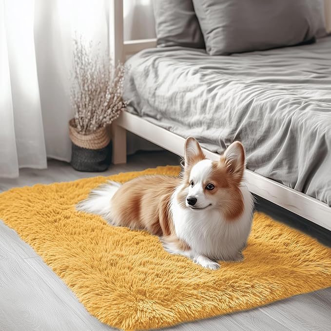 OLANLY 2x3 Machine Washable Small Bedside Rug, Soft Fluffy Shaggy Entryway Throw Rugs for Bedroom, Living Room, Indoor Floor Carpet for Kids Girls and Boys, Home Decor Aesthetic, Mustard Yellow