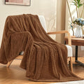 inhand Fleece Twin Blanket for Bed Chocolate Brown Throw Blanket for Couch Super Soft Cozy Warm Blankets and Throws Lightweight Fuzzy Large Blanket for Sofa Bed Office,60x90 inches