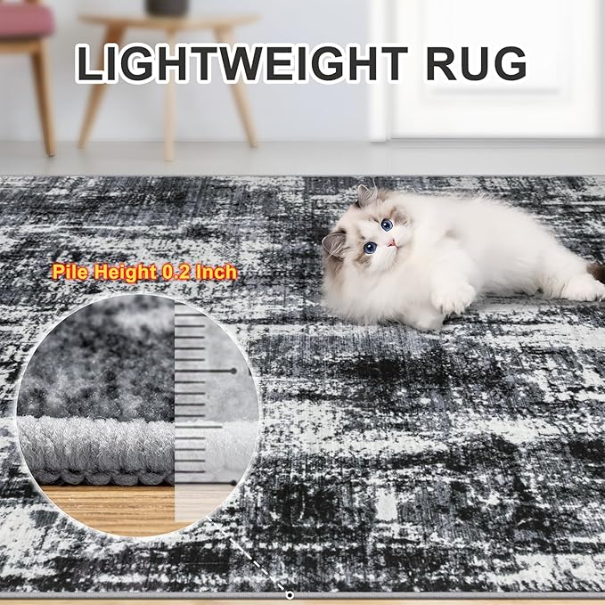 Area Rugs 10x14 Living Room - Washable Rug Modern Abstract Soft Large Neutral Non-Slip Carpet Indoor Floor Thin Carpets for Bedroom Dining Room Farmhouse Nursery Home Office Black