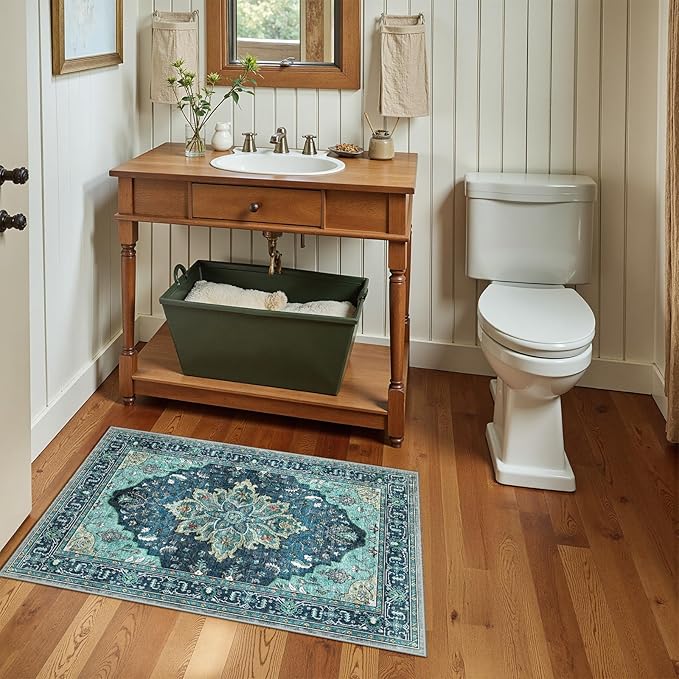 Area Rugs 2'x3' Kitchen Rugs Entry Rug Small Rugs for Entryway Kitchen Bathroom Door Mat Indoor Entrance,Washable Non Slip, Teal Green Lake Blue Turquoise