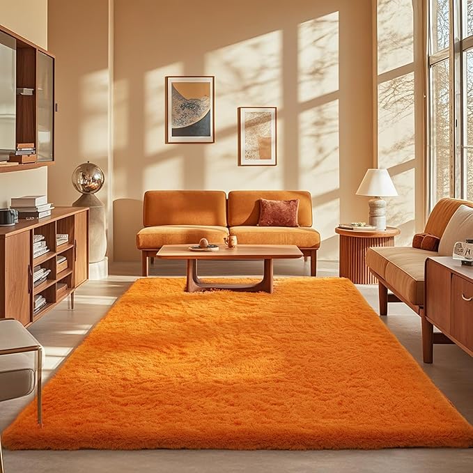 Ophanie Orange Rugs for Living Room Bedroom, 5x8 Fluffy Fuzzy Furry Carpet, Plush Soft Shaggy Bedside Indoor Floor Area Rug for Kids Girls Boys Baby Teen Dorm Nursery Home Decor Aesthetic