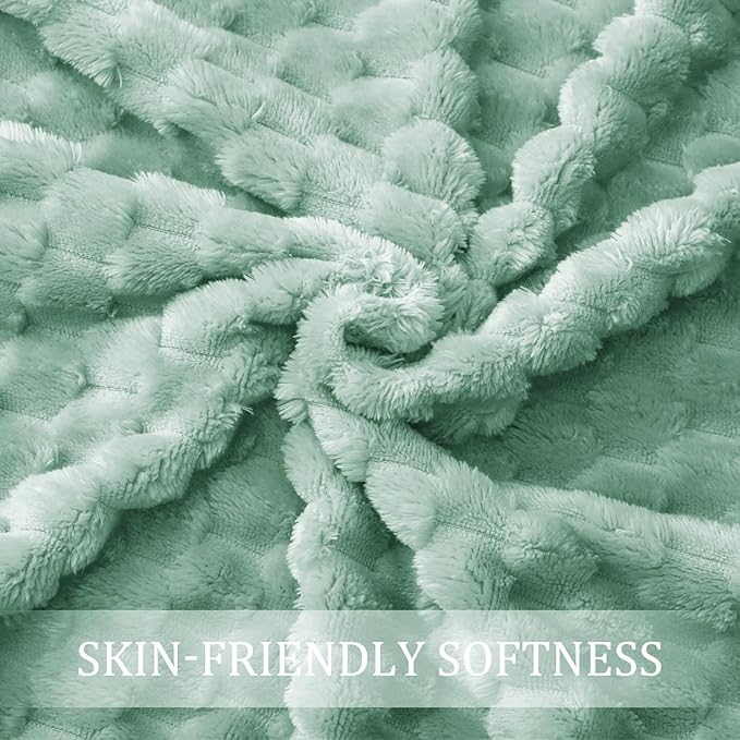 Exclusivo Mezcla Fleece Queen Blanket for Bed, Extra Large Fuzzy Sage Green Bed Blankets, Soft Cozy Plush Sofa Throws for All Seasons, 90x90 Inches
