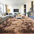 Pionblank Large Area Rug for Living Room 10x14, Fuzzy Modern Shag Rug Brown, Fluffy Plush Non Slip Soft Furry Carpet for Bedroom Kids Room Nursery Teens Dorm Home, Tie-Dyed Coffee