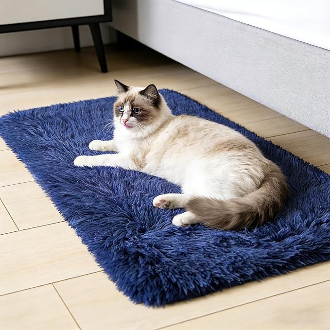 2x3 Fluffy Area Rugs for Bedroom Living Room,Small Soft Shag Fuzzy Rug Non-Shedding Indoor Plush Carpet for Kids Bedroom Nursery Dorm Home Decor,Blue