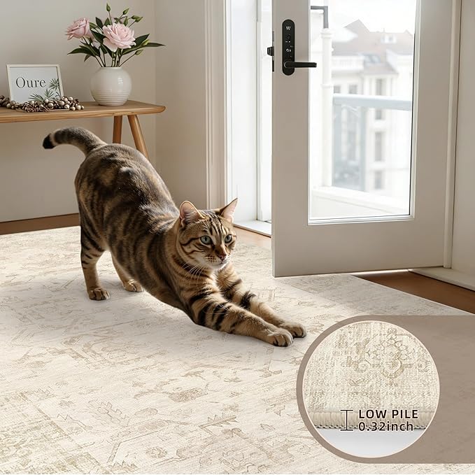 5x7 Area Rugs for Living Room: Vintage Boho Neutral Washable Rug Indoor Soft Large Area Rug Carpet for Bedroom Nursery Farmhouse Dining Room Office Floor Non-Slip Low Pile Under Table Rug Beige/Brown
